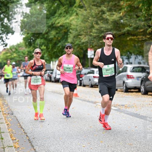 21.09.2025 - PSD Bank Halbmarathon Dr. Thomas Lammeyer http://msf.ph/oto/8919117 21.09.2025 10:37:01 Laufen 2027, 1856, 2077, 2003 meine-sportfotos.de
