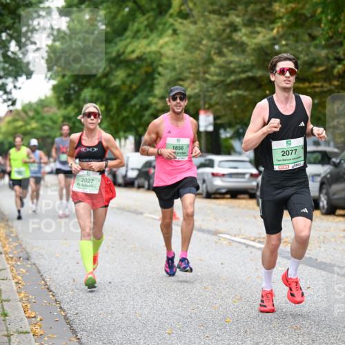 21.09.2025 - PSD Bank Halbmarathon Dr. Thomas Lammeyer http://msf.ph/oto/8919122 21.09.2025 10:37:01 Laufen 2027, 1856, 2077 meine-sportfotos.de