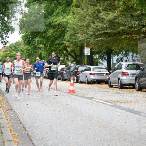 21.09.2025 - PSD Bank Halbmarathon Dr. Thomas Lammeyer http://msf.ph/oto/8919517 21.09.2025 10:37:45 Laufen 3909, 1469, 2212, 1984 meine-sportfotos.de