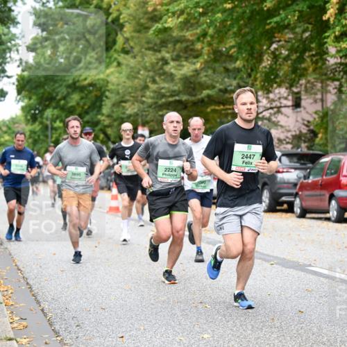 21.09.2025 - PSD Bank Halbmarathon Dr. Thomas Lammeyer http://msf.ph/oto/8919920 21.09.2025 10:38:33 Laufen 3895, 2224, 090, 9, 2447, 3 meine-sportfotos.de
