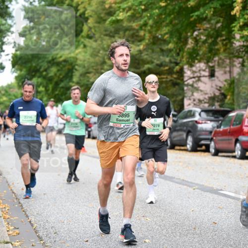 21.09.2025 - PSD Bank Halbmarathon Dr. Thomas Lammeyer http://msf.ph/oto/8919937 21.09.2025 10:38:34 Laufen 2256, 3895, 2174, 278, 222 meine-sportfotos.de