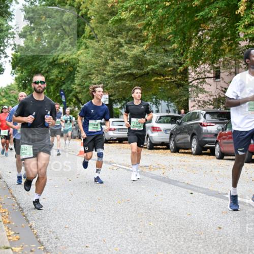 21.09.2025 - PSD Bank Halbmarathon Dr. Thomas Lammeyer http://msf.ph/oto/8920104 21.09.2025 10:38:44 Laufen 2232, 13, 1248, 1227, 2501, 4915 meine-sportfotos.de
