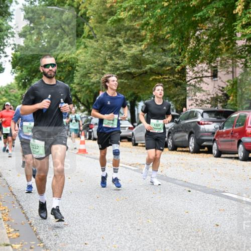 21.09.2025 - PSD Bank Halbmarathon Dr. Thomas Lammeyer http://msf.ph/oto/8920116 21.09.2025 10:38:44 Laufen 218, 2232, 3, 248, 1227, 4915 meine-sportfotos.de