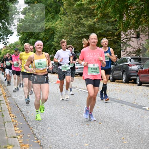 21.09.2025 - PSD Bank Halbmarathon Dr. Thomas Lammeyer http://msf.ph/oto/8920799 21.09.2025 10:39:56 Laufen 2418, 2091, 2443, 95, 1003, 34915 meine-sportfotos.de