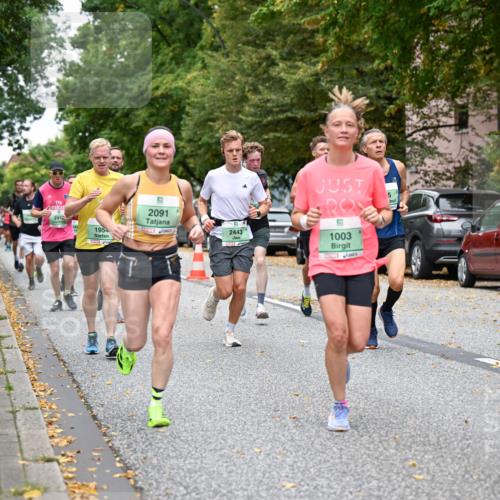 21.09.2025 - PSD Bank Halbmarathon Dr. Thomas Lammeyer http://msf.ph/oto/8920802 21.09.2025 10:39:56 Laufen 241, 5, 2091, 1954, 2443, 1003, 4915 meine-sportfotos.de