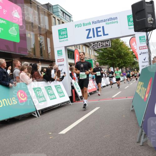 21.09.2025 - PSD Bank Halbmarathon Strokosch-Dieckow http://msf.ph/oto/8922435 21.09.2025 12:00:07 Ziel 1481, 1741, 1948, 2490, 2648, 2721, 2782, 2929, 3048, 3094, 3906, 4034, 4042 meine-sportfotos.de