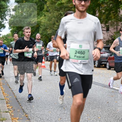 21.09.2025 - PSD Bank Halbmarathon Dr. Thomas Lammeyer http://msf.ph/oto/8922548 21.09.2025 10:42:00 Laufen 3924, 3092, 2460, 1129 meine-sportfotos.de