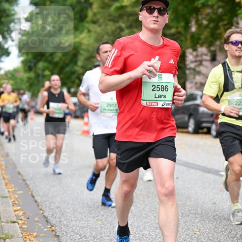 21.09.2025 - PSD Bank Halbmarathon Dr. Thomas Lammeyer http://msf.ph/oto/8922676 21.09.2025 10:42:07 Laufen 2586, 2917, 2229 meine-sportfotos.de
