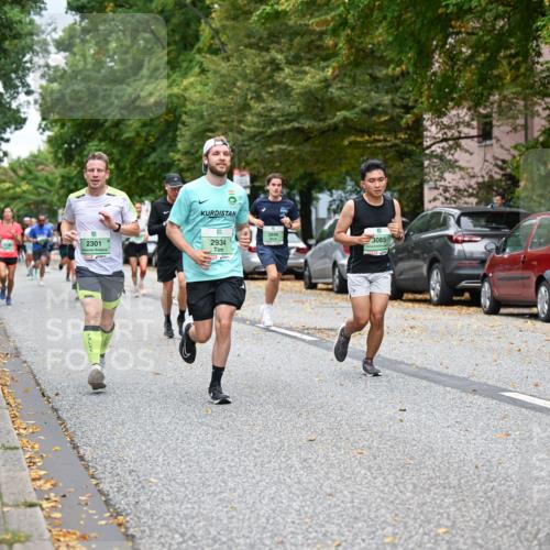 21.09.2025 - PSD Bank Halbmarathon Dr. Thomas Lammeyer http://msf.ph/oto/8923413 21.09.2025 10:42:49 Laufen 2301, 2934, 3896, 3085, 4915 meine-sportfotos.de