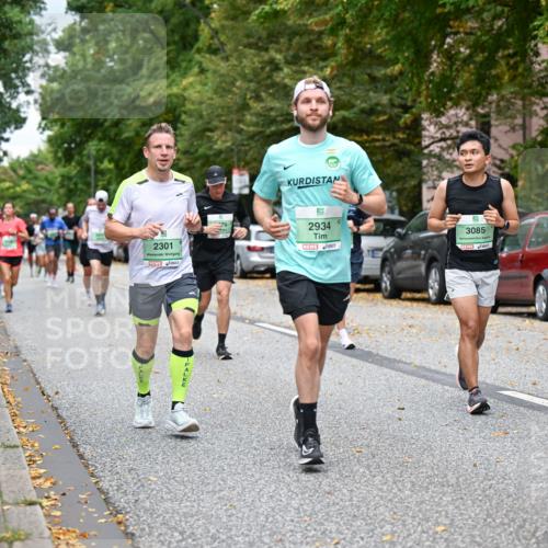 21.09.2025 - PSD Bank Halbmarathon Dr. Thomas Lammeyer http://msf.ph/oto/8923436 21.09.2025 10:42:50 Laufen 2301, 2934, 3085, 4915 meine-sportfotos.de