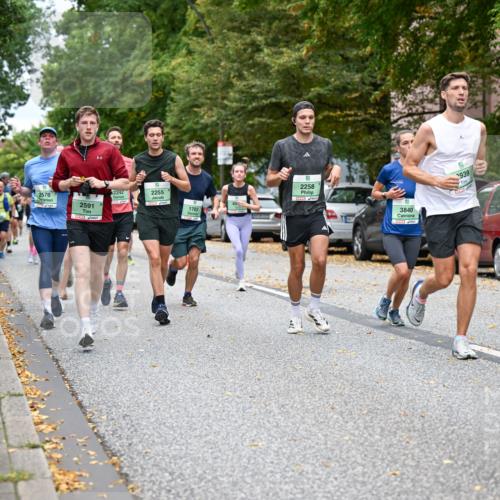 21.09.2025 - PSD Bank Halbmarathon Dr. Thomas Lammeyer http://msf.ph/oto/8925095 21.09.2025 10:44:17 Laufen 2576, 2242, 2255, 2591, 1703, 2258, 939, 3840, 4915 meine-sportfotos.de