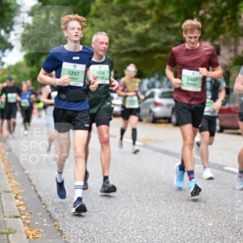 21.09.2025 - PSD Bank Halbmarathon Dr. Thomas Lammeyer http://msf.ph/oto/8925381 21.09.2025 10:44:34 Laufen 1257, 1554, 2467, 2406 meine-sportfotos.de