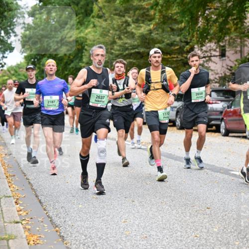 21.09.2025 - PSD Bank Halbmarathon Dr. Thomas Lammeyer http://msf.ph/oto/8925598 21.09.2025 10:44:45 Laufen 3389, 2187, 9, 2637, 1772, 2658, 2475 meine-sportfotos.de