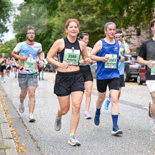 21.09.2025 - PSD Bank Halbmarathon Dr. Thomas Lammeyer http://msf.ph/oto/8925783 21.09.2025 10:44:56 Laufen 2025, 1104, 2289, 2901, 1397 meine-sportfotos.de
