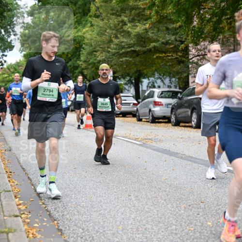 21.09.2025 - PSD Bank Halbmarathon Dr. Thomas Lammeyer http://msf.ph/oto/8926159 21.09.2025 10:45:24 Laufen 2794, 2645, 2915, 4915 meine-sportfotos.de
