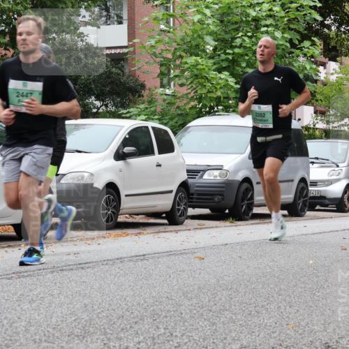 21.09.2025 - PSD Bank Halbmarathon Luisa Fischer http://msf.ph/oto/8927141 21.09.2025 11:33:00 Laufen 2447, 2202, 3418, 1554 meine-sportfotos.de