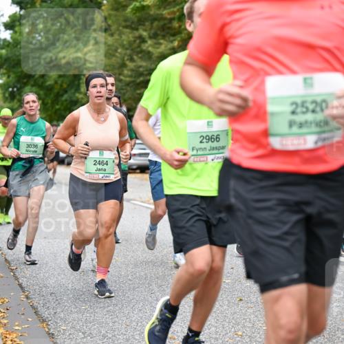 21.09.2025 - PSD Bank Halbmarathon Dr. Thomas Lammeyer http://msf.ph/oto/8927841 21.09.2025 10:47:22 Laufen 3036, 2464, 2966, 2520 meine-sportfotos.de