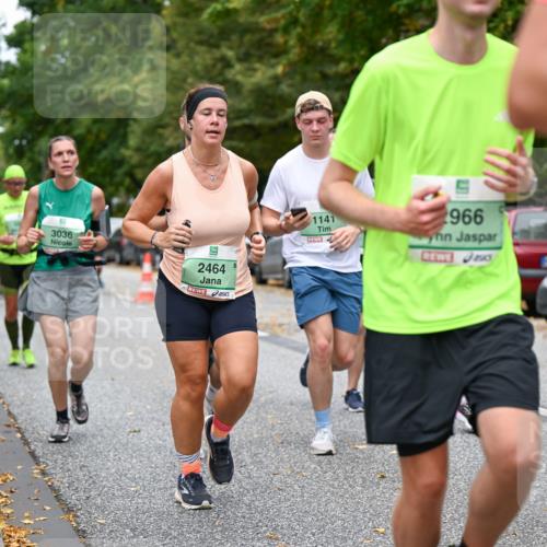 21.09.2025 - PSD Bank Halbmarathon Dr. Thomas Lammeyer http://msf.ph/oto/8927848 21.09.2025 10:47:22 Laufen 3036, 2464, 1141, 966, 253, 2832 meine-sportfotos.de