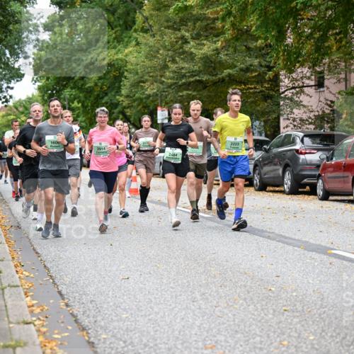 21.09.2025 - PSD Bank Halbmarathon Dr. Thomas Lammeyer http://msf.ph/oto/8927980 21.09.2025 10:47:31 Laufen 1606, 3176, 2914, 2484, 2223, 34915 meine-sportfotos.de