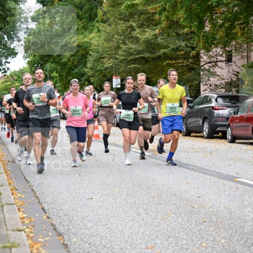 21.09.2025 - PSD Bank Halbmarathon Dr. Thomas Lammeyer http://msf.ph/oto/8927983 21.09.2025 10:47:31 Laufen 16, 4038, 2914, 3176, 2484, 2223, 4915 meine-sportfotos.de