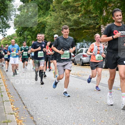 21.09.2025 - PSD Bank Halbmarathon Dr. Thomas Lammeyer http://msf.ph/oto/8928084 21.09.2025 10:47:41 Laufen 2613, 1585, 3910, 4915 meine-sportfotos.de