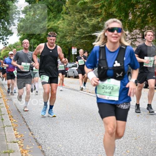 21.09.2025 - PSD Bank Halbmarathon Dr. Thomas Lammeyer http://msf.ph/oto/8928196 21.09.2025 10:47:48 Laufen 1072, 4, 1211, 2593, 86, 50, 4925 meine-sportfotos.de