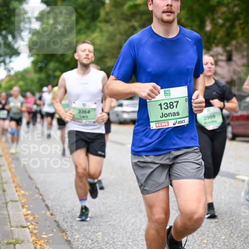 21.09.2025 - PSD Bank Halbmarathon Dr. Thomas Lammeyer http://msf.ph/oto/8928457 21.09.2025 10:48:03 Laufen 3364, 1387, 2999, 300 meine-sportfotos.de