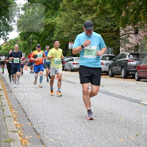 21.09.2025 - PSD Bank Halbmarathon Dr. Thomas Lammeyer http://msf.ph/oto/8929303 21.09.2025 10:48:53 Laufen 1175, 3677, 3065, 3, 4915 meine-sportfotos.de
