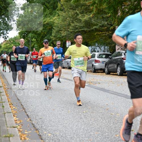 21.09.2025 - PSD Bank Halbmarathon Dr. Thomas Lammeyer http://msf.ph/oto/8929327 21.09.2025 10:48:54 Laufen 1175, 3336, 2046, 3251, 3677, 3065, 3, 4915 meine-sportfotos.de
