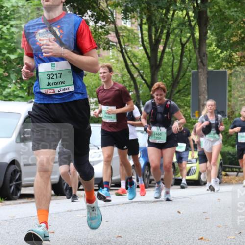 21.09.2025 - PSD Bank Halbmarathon Luisa Fischer http://msf.ph/oto/8929561 21.09.2025 11:48:15 Laufen 3217, 248, 2466 meine-sportfotos.de