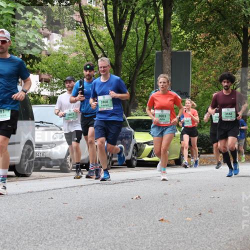 21.09.2025 - PSD Bank Halbmarathon Luisa Fischer http://msf.ph/oto/8929835 21.09.2025 11:49:16 Laufen 2481, 2803, 2468, 3418, 3182, 3603, 1382, 1323, 2013 meine-sportfotos.de