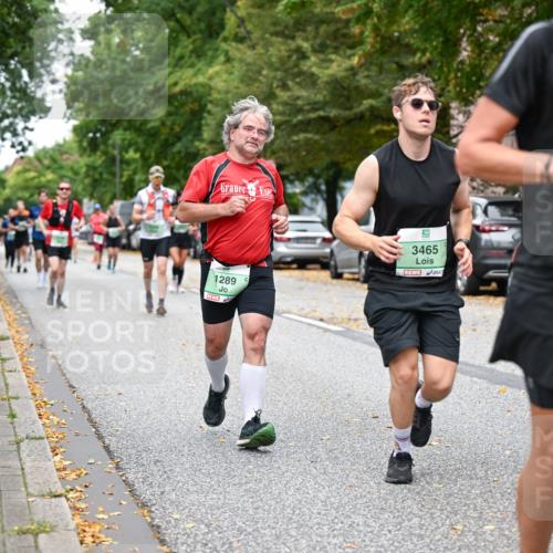 21.09.2025 - PSD Bank Halbmarathon Dr. Thomas Lammeyer http://msf.ph/oto/8929873 21.09.2025 10:49:25 Laufen 1289, 3465, 3062 meine-sportfotos.de
