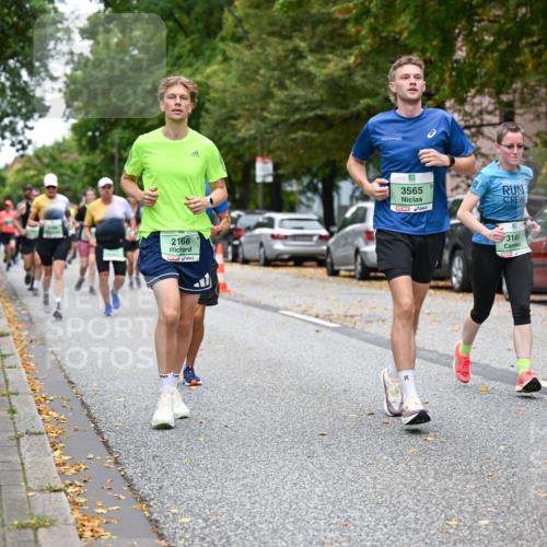 21.09.2025 - PSD Bank Halbmarathon Dr. Thomas Lammeyer http://msf.ph/oto/8930495 21.09.2025 10:50:01 Laufen 2166, 5, 3565, 3145, 3325 meine-sportfotos.de