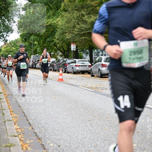 21.09.2025 - PSD Bank Halbmarathon Dr. Thomas Lammeyer http://msf.ph/oto/8931090 21.09.2025 10:50:35 Laufen 3267, 1668, 14, 2950, 4915 meine-sportfotos.de