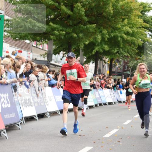 21.09.2025 - PSD Bank Halbmarathon Strokosch-Dieckow http://msf.ph/oto/8931104 21.09.2025 12:14:19 Ziel 1007, 1009, 1623, 2994, 3311 meine-sportfotos.de