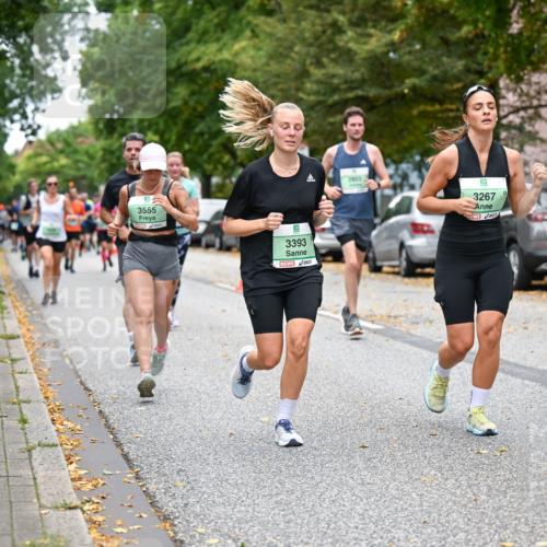 21.09.2025 - PSD Bank Halbmarathon Dr. Thomas Lammeyer http://msf.ph/oto/8931135 21.09.2025 10:50:40 Laufen 3555, 3393, 2852, 5, 3267 meine-sportfotos.de