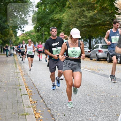 21.09.2025 - PSD Bank Halbmarathon Dr. Thomas Lammeyer http://msf.ph/oto/8931157 21.09.2025 10:50:42 Laufen 11, 9, 1284, 3555, 2852, 3393 meine-sportfotos.de
