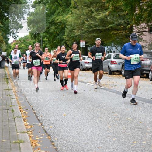 21.09.2025 - PSD Bank Halbmarathon Dr. Thomas Lammeyer http://msf.ph/oto/8932062 21.09.2025 10:51:31 Laufen 1664, 3986, 3022, 3516, 4915 meine-sportfotos.de