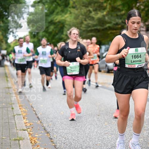 21.09.2025 - PSD Bank Halbmarathon Dr. Thomas Lammeyer http://msf.ph/oto/8932117 21.09.2025 10:51:34 Laufen 3022, 1664, 398 meine-sportfotos.de