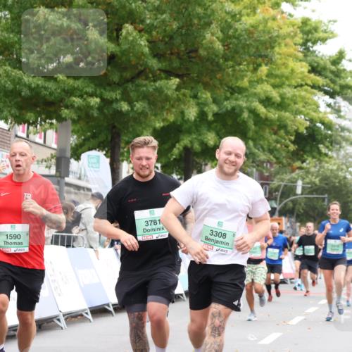 21.09.2025 - PSD Bank Halbmarathon Strokosch-Dieckow http://msf.ph/oto/8932201 21.09.2025 12:17:39 Ziel 1143, 1144, 1145, 1590, 2852, 3308, 3523, 3781 meine-sportfotos.de