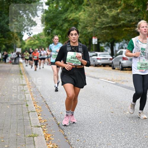 21.09.2025 - PSD Bank Halbmarathon Dr. Thomas Lammeyer http://msf.ph/oto/8932595 21.09.2025 10:52:34 Laufen 30, 3484, 3530, 32 meine-sportfotos.de