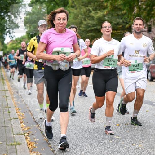 21.09.2025 - PSD Bank Halbmarathon Dr. Thomas Lammeyer http://msf.ph/oto/8933313 21.09.2025 10:54:12 Laufen 33, 1588, 16, 1587, 1589, 2763 meine-sportfotos.de