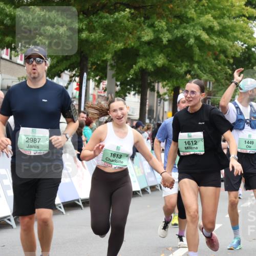 21.09.2025 - PSD Bank Halbmarathon Strokosch-Dieckow http://msf.ph/oto/8933456 21.09.2025 12:23:49 Ziel 1011, 1012, 1013, 1448, 1449, 1612, 1613, 2987, 3225, 3368, 3515 meine-sportfotos.de