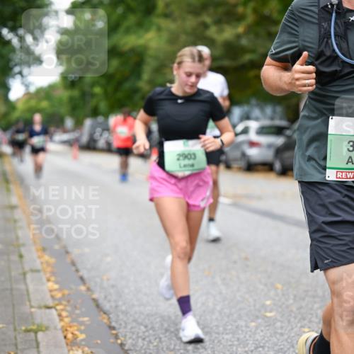 21.09.2025 - PSD Bank Halbmarathon Dr. Thomas Lammeyer http://msf.ph/oto/8933749 21.09.2025 10:54:56 Laufen 2903, 3385 meine-sportfotos.de