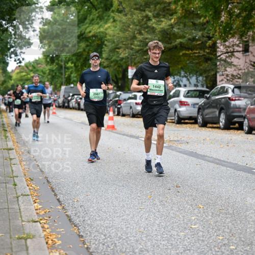 21.09.2025 - PSD Bank Halbmarathon Dr. Thomas Lammeyer http://msf.ph/oto/8933807 21.09.2025 10:55:09 Laufen 2987, 1442, 4915 meine-sportfotos.de