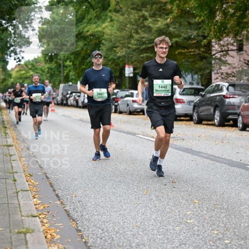 21.09.2025 - PSD Bank Halbmarathon Dr. Thomas Lammeyer http://msf.ph/oto/8933810 21.09.2025 10:55:09 Laufen 2987, 1442, 4915 meine-sportfotos.de