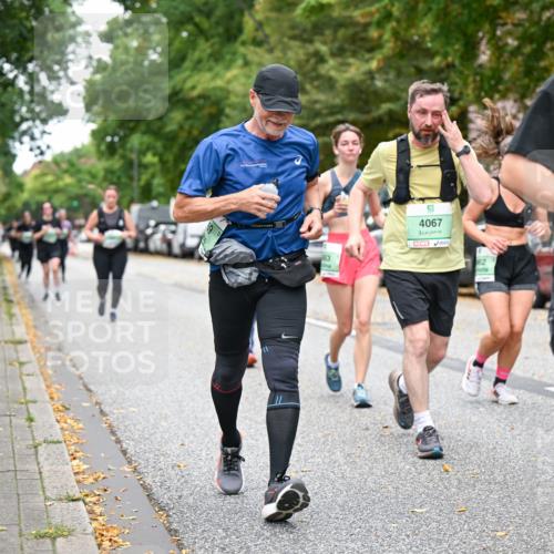 21.09.2025 - PSD Bank Halbmarathon Dr. Thomas Lammeyer http://msf.ph/oto/8934031 21.09.2025 10:55:38 Laufen 4067, 62, 919, 7, 3781 meine-sportfotos.de