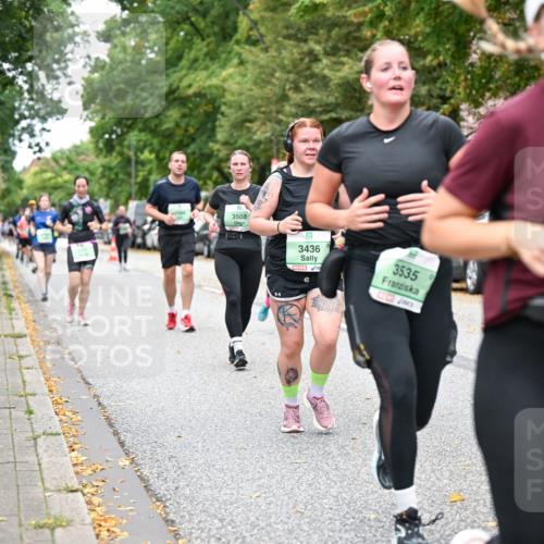 21.09.2025 - PSD Bank Halbmarathon Dr. Thomas Lammeyer http://msf.ph/oto/8934264 21.09.2025 10:56:12 Laufen 3508, 741, 3436, 3535, 4915 meine-sportfotos.de