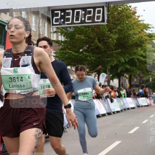 21.09.2025 - PSD Bank Halbmarathon Strokosch-Dieckow http://msf.ph/oto/8934534 21.09.2025 12:29:51 Ziel 1244, 1678, 2845, 3592, 3614, 3625, 3741 meine-sportfotos.de