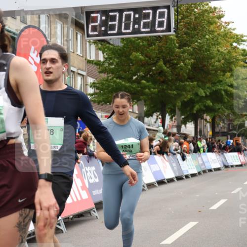 21.09.2025 - PSD Bank Halbmarathon Strokosch-Dieckow http://msf.ph/oto/8934536 21.09.2025 12:29:52 Ziel 1244, 1678, 2845, 3592, 3614, 3625, 3741 meine-sportfotos.de